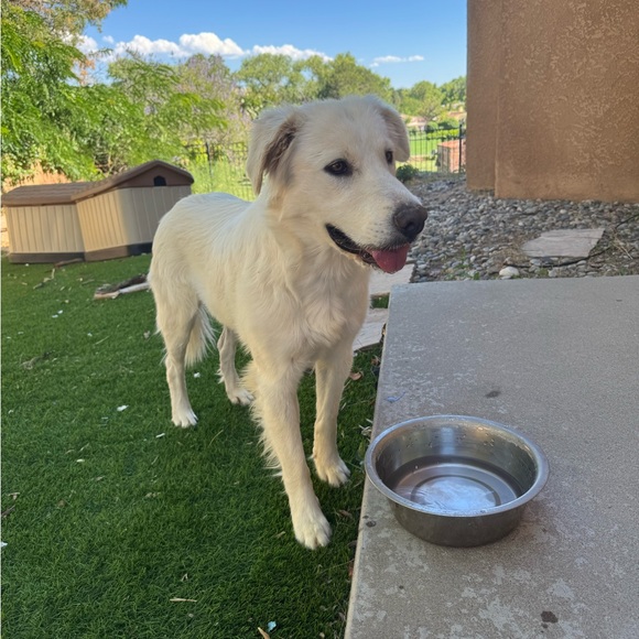 Meet your Posher, Clare - Picture 6 of 12